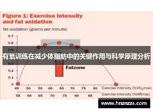有氧训练在减少体脂肪中的关键作用与科学原理分析