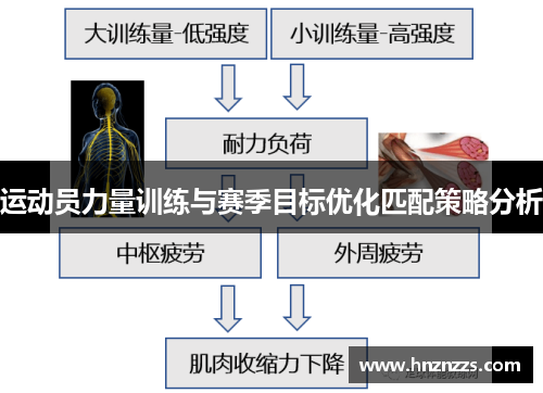 运动员力量训练与赛季目标优化匹配策略分析