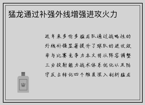 猛龙通过补强外线增强进攻火力