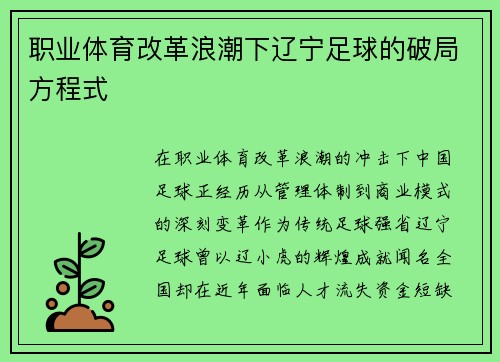 职业体育改革浪潮下辽宁足球的破局方程式