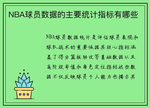 NBA球员数据的主要统计指标有哪些